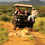 Safaris kwandwe afrika zuid uplands homestead holiday drives melton escorted rondreizen giltedge andbeyond