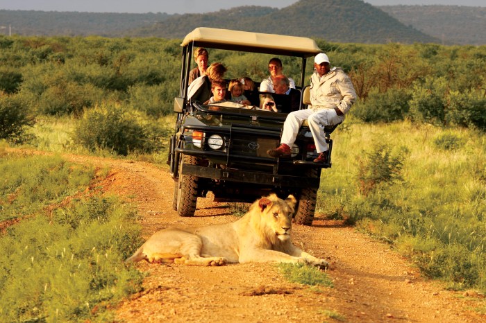 Safaris kwandwe afrika zuid uplands homestead holiday drives melton escorted rondreizen giltedge andbeyond